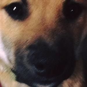 Meet your Posher, Patty